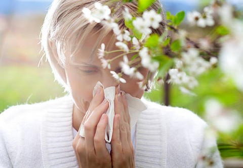 Soigner une allergie respiratoire avec les huiles essentielles